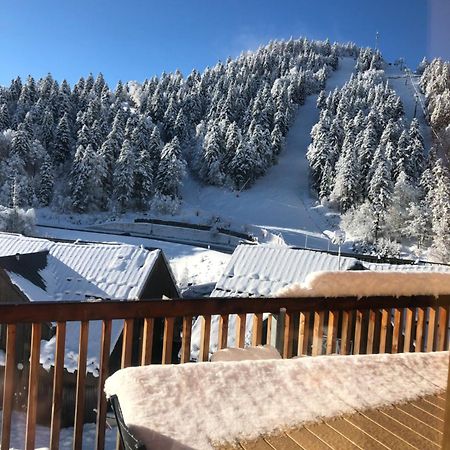 Appartement Aux Pieds Des Pistes De Ski Laveissiere Экстерьер фото