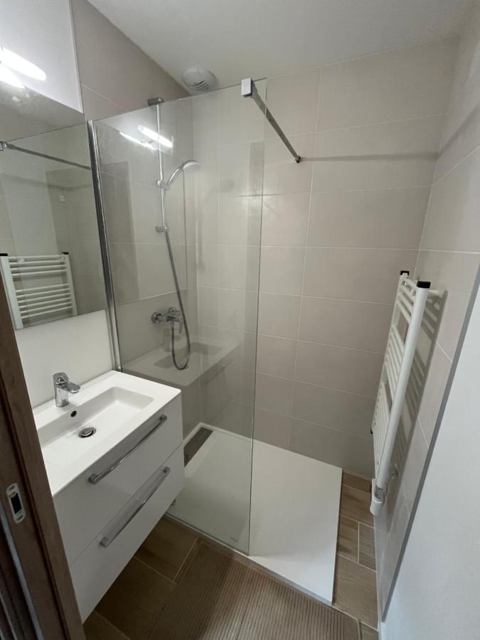 Appartement Aux Pieds Des Pistes De Ski Laveissiere Экстерьер фото