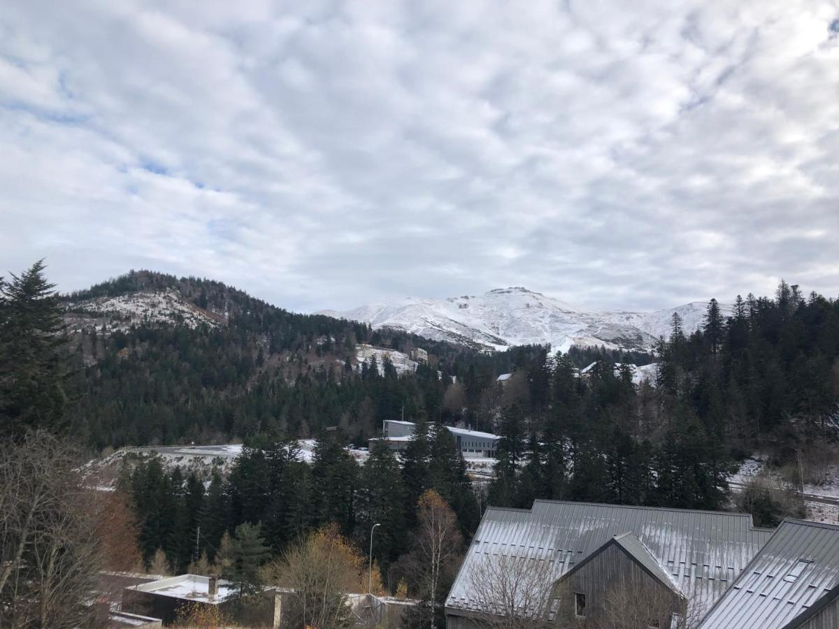 Appartement Aux Pieds Des Pistes De Ski Laveissiere Экстерьер фото